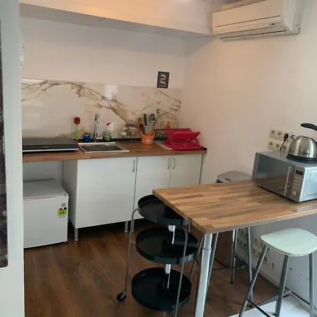 Studio-loft Con Terraza Madrid