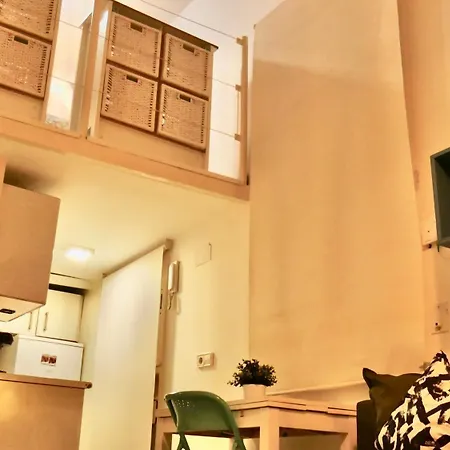 Duplex La Latina Centro Madrid