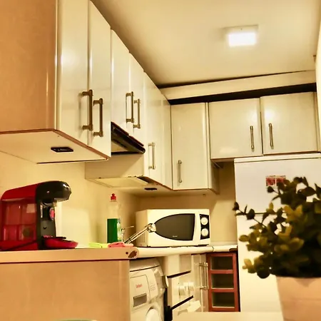 Duplex La Latina Centro Apartment Madrid
