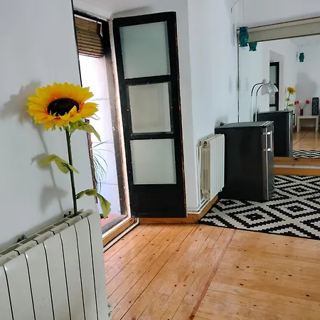 Gran Con Balcon En Tirso De Molina * Madrid