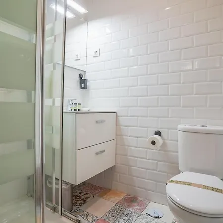 Cozy Apartment-1bedroom 1bathroom-lavapies Apartment Madrid