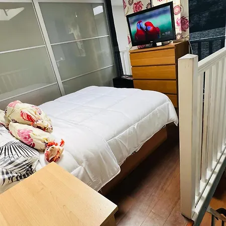 Apartment Palafox *