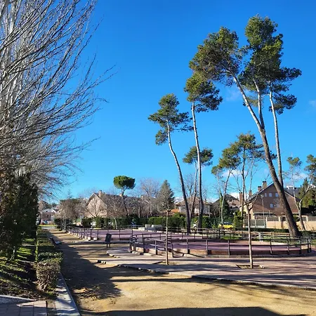 Suki House 1 * Pozuelo de Alarcón