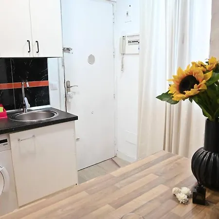 Apartment Agradable Apartamento Temporal De 1 Dormitorio En Pez30 Madrid