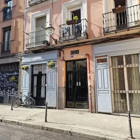 Mediodia Chica Apartamento Tipo Loft En La Latina Madrid