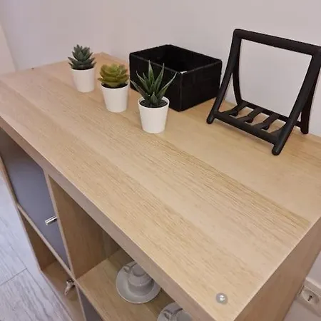 Mediodia Chica Apartamento Tipo Loft En La Latina Apartment