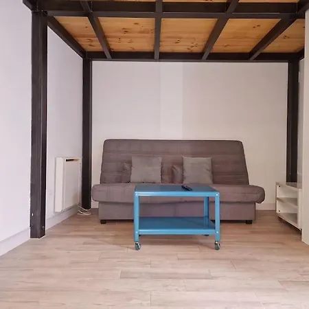 Apartment Mediodia Chica Apartamento Tipo Loft En La Latina Madrid