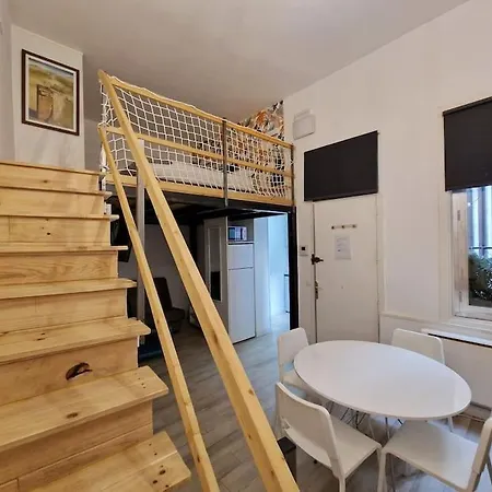 Mediodia Chica Apartamento Tipo Loft En La Latina *