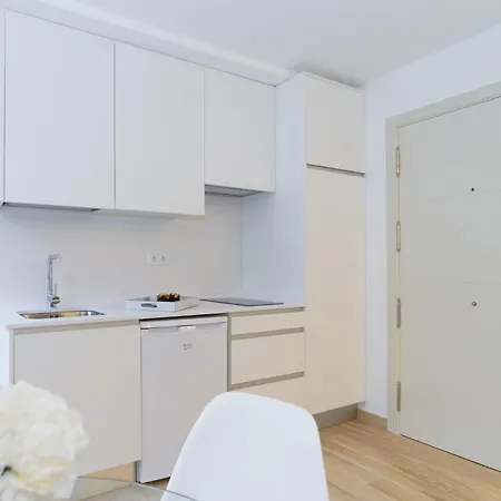 San Isidro Apartamento Madri