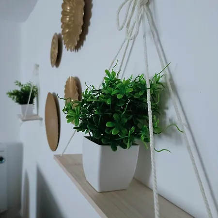 Casa Cobo Exclusivo En Apartamento
