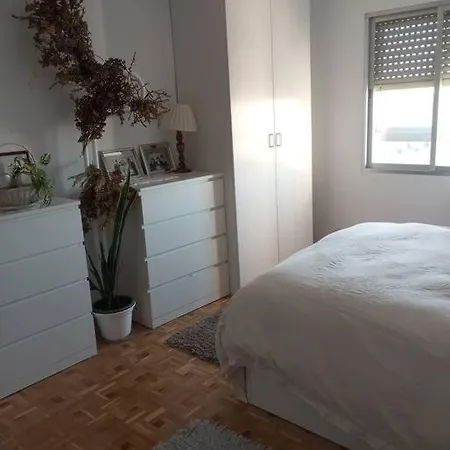 Luxury Renovated With Terrace In *