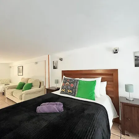 Loft Plaza Mayor 3 Temporal * Madrid