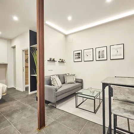 Apartment La Latina Style, By Presidence
