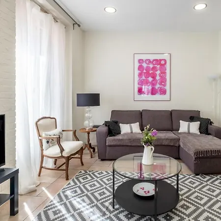 Bright- 1bd 1bth Furnished - Sol * Madrid