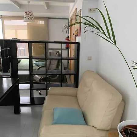 Studio-loft Con Terraza