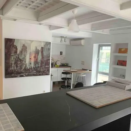 Studio-loft Con Terraza Apartment *
