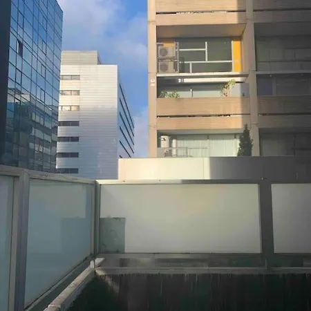 Studio-loft Con Terraza