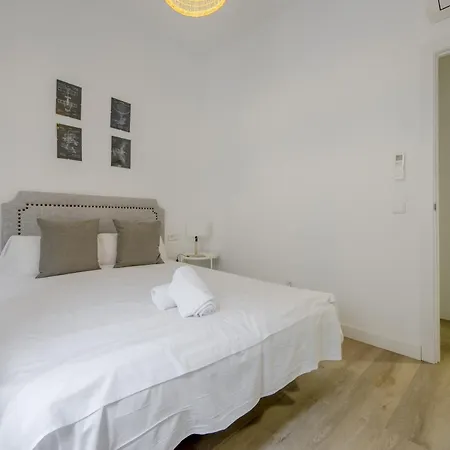 Elegante Apartamento En El Centro De Madrid-rastro