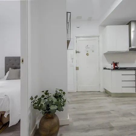 Maravilloso Piso En La Latina - Centro De Apartment *