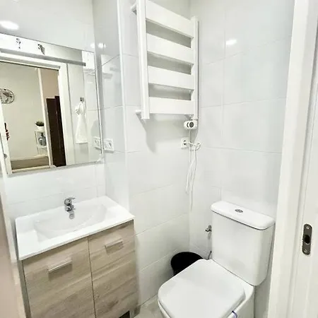 Apartment Metro Avenida De America 01 Madrid