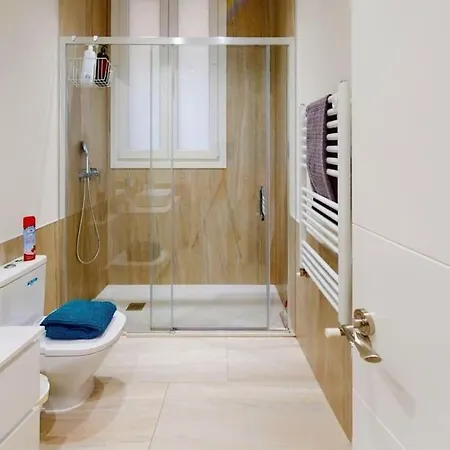 Apartment Flat In Centro Madrid-tud