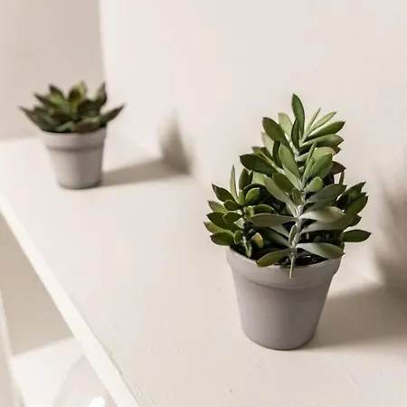 Cozy In The Heart Of Madrid.m31 Apartment Madrid