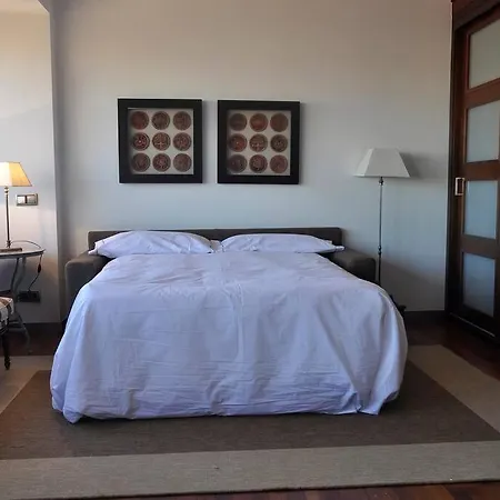 公寓 Suite-estudio En El Centro Colon 马德里