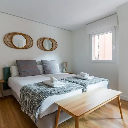 Cozy Apartment- 1bd 1bth- Plaza Castilla Apartment *