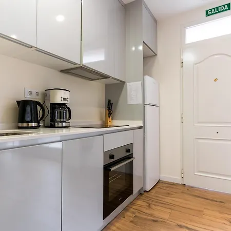 Cozy Apartment- 1bd 1bth- Plaza Castilla Apartment *