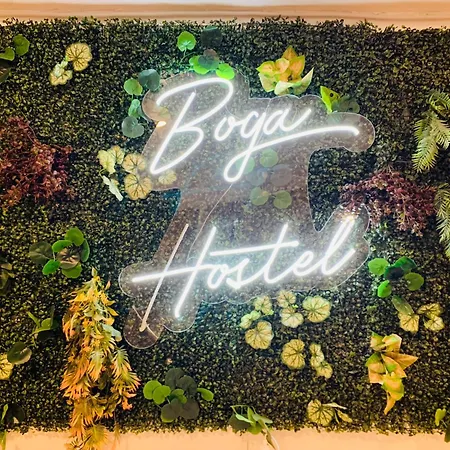 Boga Hostel *