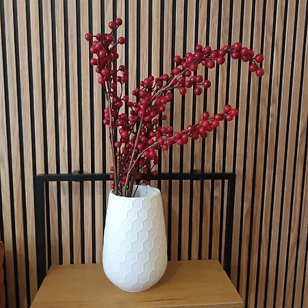 Apartment Fridda House Atocha Madrid