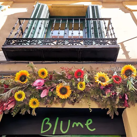 Blume Cruz *