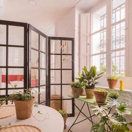 Tranquility Loft In La Latina Madrid