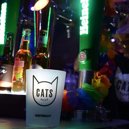 Cats Sol * Madrid