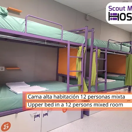 Scout
