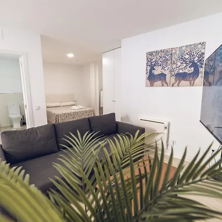 Apartamento Castellana Norte Ml8-2 *