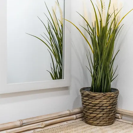 2 Bedrooms 1 Bathroom Furnished - Malasana - Modern In Downtown Area - Mintystay Lejlighed *