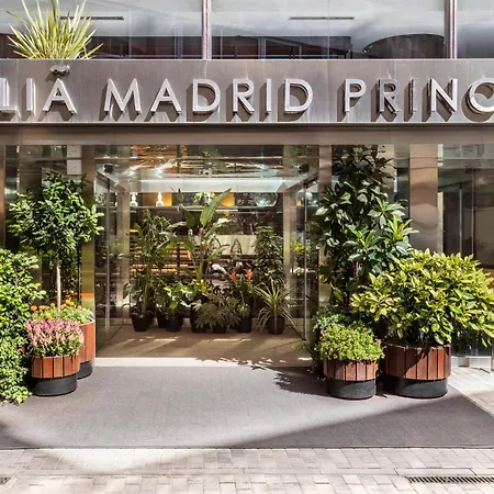 Hotel Melia Princesa