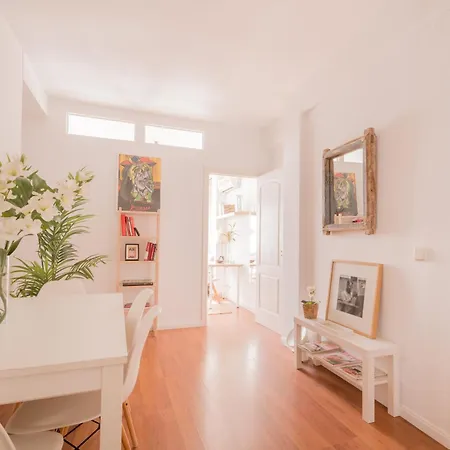 Cozy And Stylish With Natural Light And Vibrant Decor Homestay *