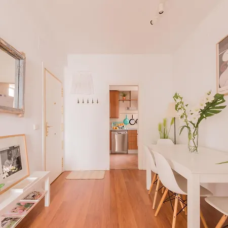 Homestay Cozy And Stylish With Natural Light And Vibrant Decor