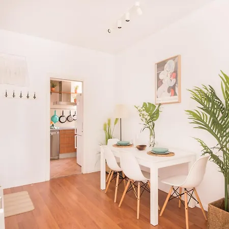 Cozy And Stylish With Natural Light And Vibrant Decor