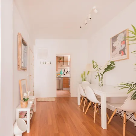 Homestay Cozy And Stylish With Natural Light And Vibrant Decor