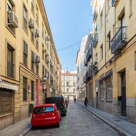 Atico Con Terraza En Lavapies *