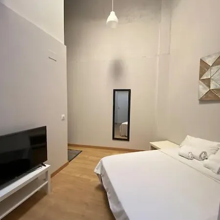 Apartment Duplex In Guindalera *
