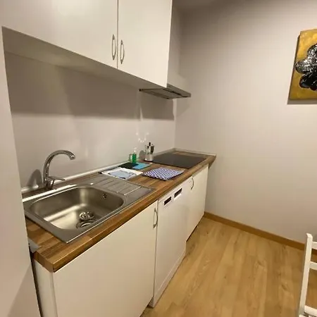 Apartment Duplex In Guindalera *