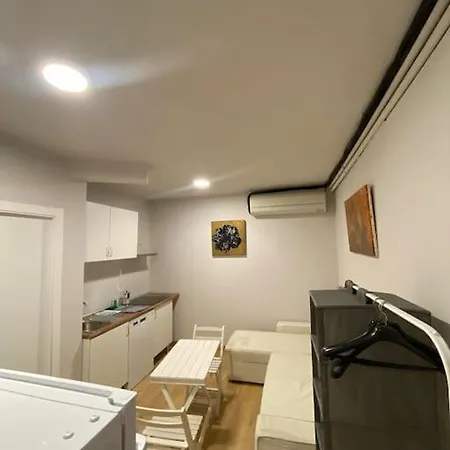 Apartment Duplex In Guindalera