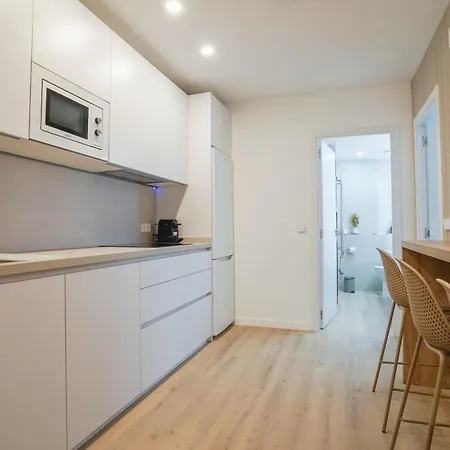 Apartment Modern Duplex-3bedrooms 3bathrooms-lavapies Madrid