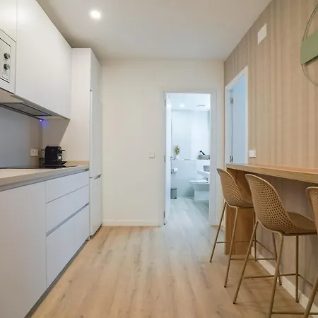 Apartment Modern Duplex-3bedrooms 3bathrooms-lavapies Madrid