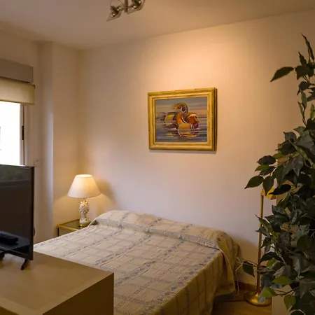 Bernabeu Loft Moderno Apartment