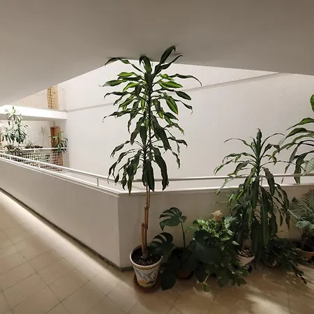 Bed & Breakfast Entero En Madrid, Con Acceso Privado *